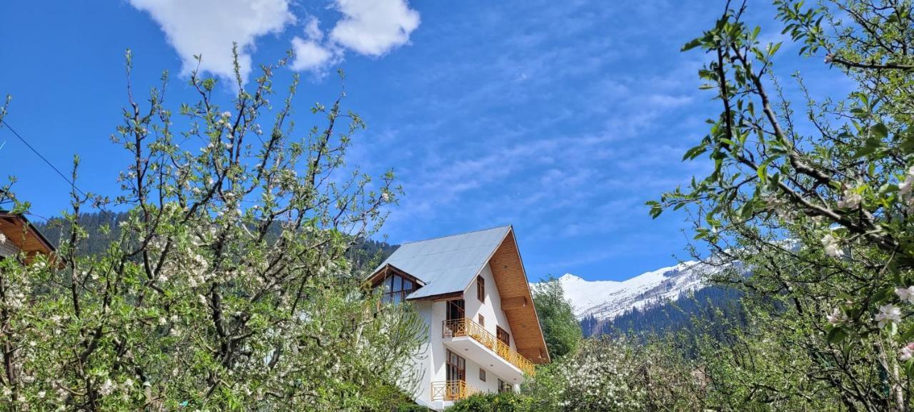 The Wooden Chalet, Manali Kültér fotó